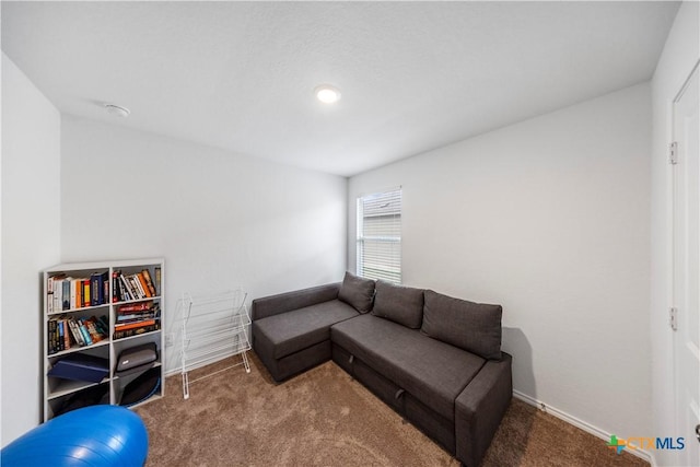 living room featuring carpet and baseboards