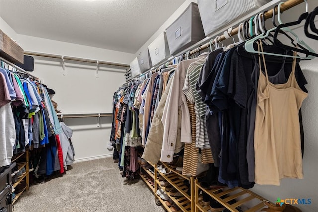 walk in closet featuring carpet flooring