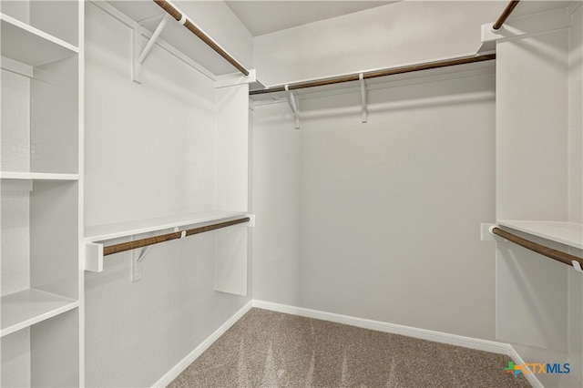 walk in closet with carpet