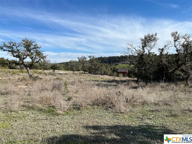 Listing photo 2 for 229 Lois Ln, Canyon Lake TX 78133