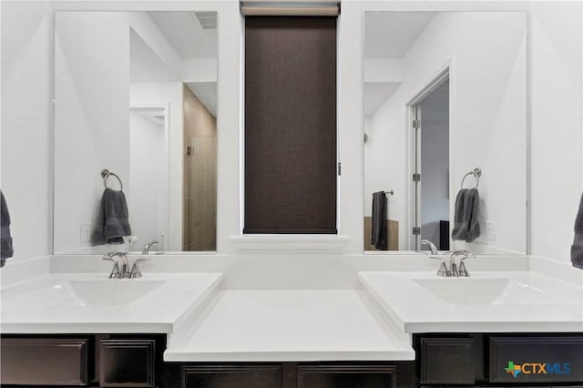 1620 Craftsman, New Braunfels, TX 78132 - bathroom with vanity and a shower