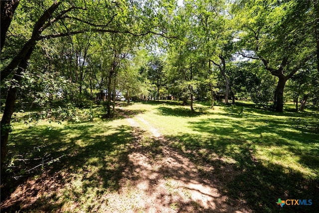 68 Riverside Ln Lane, Martindale, TX 78655 - photo 35