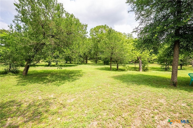 68 Riverside Ln Lane, Martindale, TX 78655 - photo 10