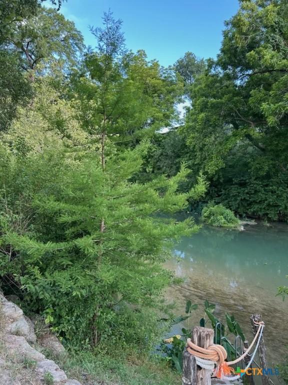 68 Riverside Ln Lane, Martindale, TX 78655 - photo 41
