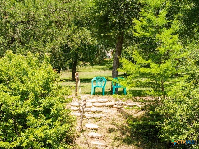 68 Riverside Ln Lane, Martindale, TX 78655 - photo 36