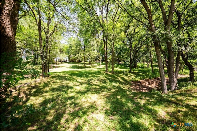 68 Riverside Ln Lane, Martindale, TX 78655 - photo 11