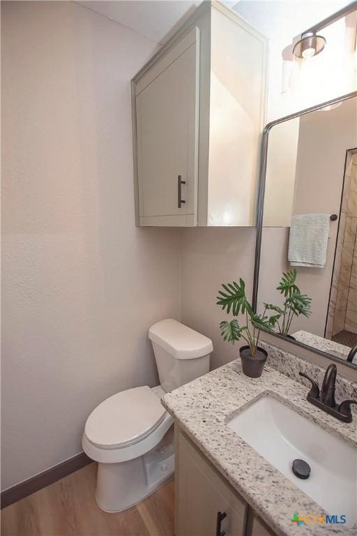 1317 N 10th St, Temple, TX 76501 - bathroom with toilet, wood finished floors, and vanity