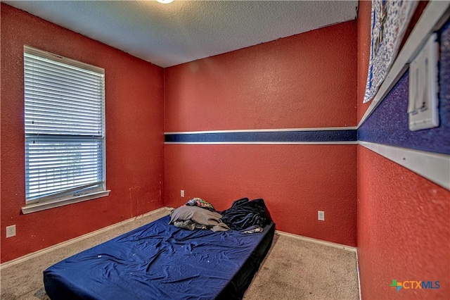 9006 Single Bend Trl, Temple, TX 76502 - carpeted bedroom with multiple windows, a textured wall, and a textured ceiling