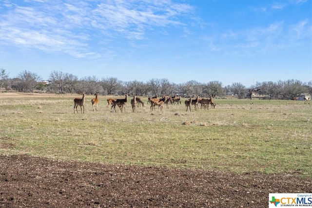 Listing photo 3 for TBD Old Mission Rd, Kempner TX 76539