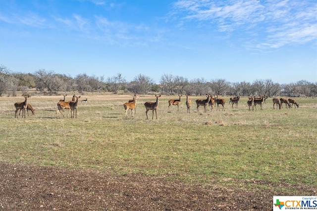 Listing photo 2 for TBD Old Mission Rd, Kempner TX 76539