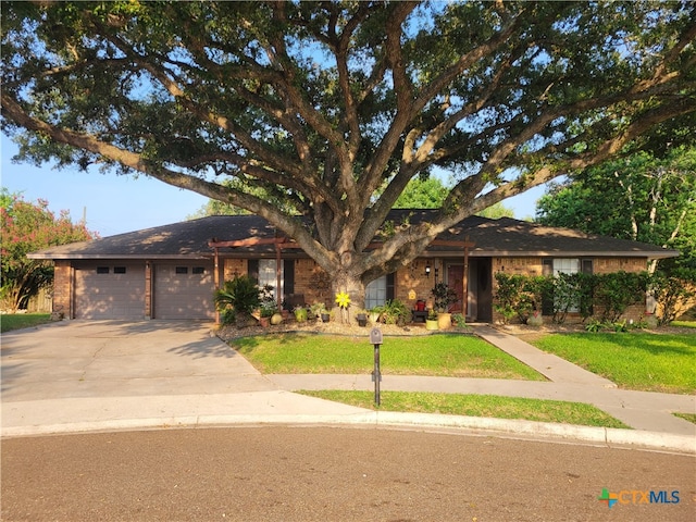 ranch-style home featuring a garage and a front yard