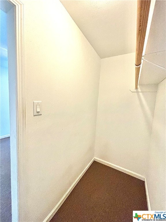 walk in closet with carpet flooring