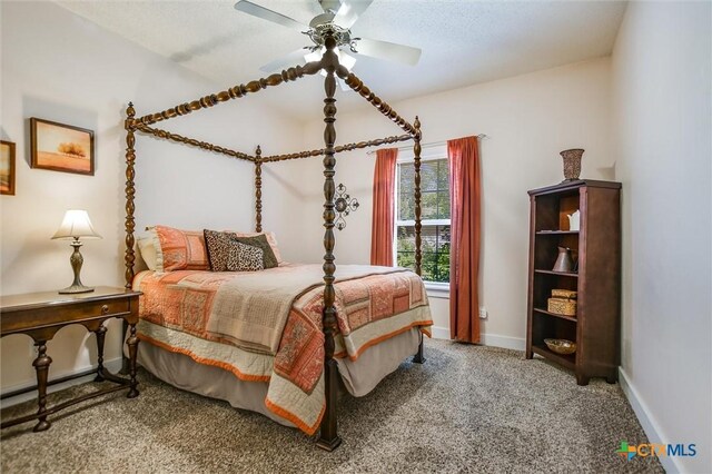 55 Ridgewood Cir, Wimberley, TX 78676 - photo 15