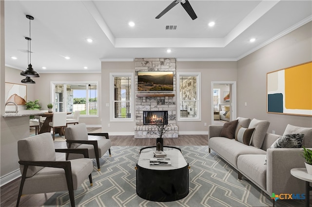 living room with a stone fireplace, dark hardwood / wood-style floors, and a raised ceiling