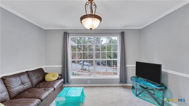 carpeted living room with ornamental molding