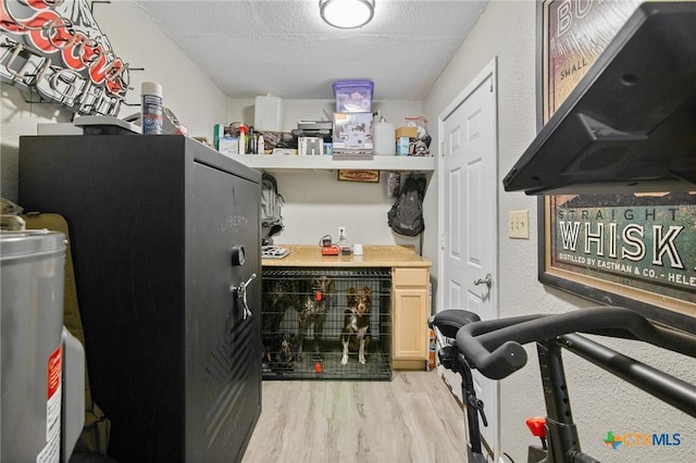 storage with water heater