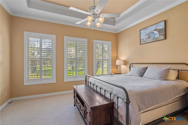 bedroom with carpet floors, multiple windows, baseboards, and a raised ceiling