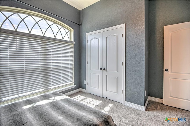 carpeted bedroom with baseboards, a closet, and a textured wall