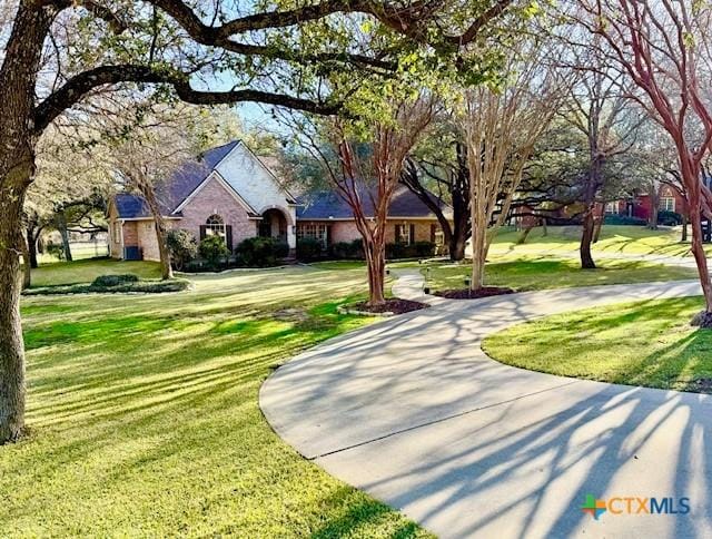 view of community with a yard