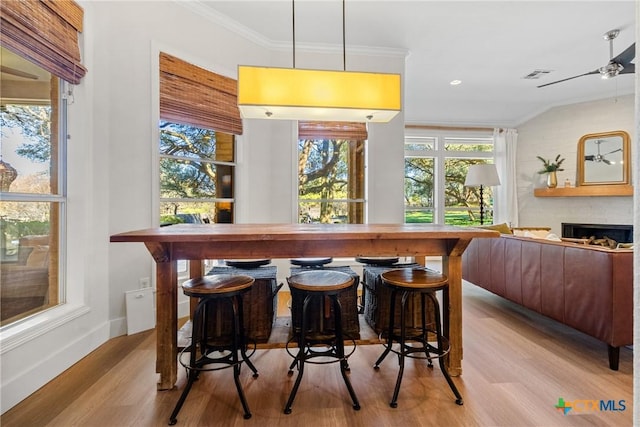 bar with ornamental molding, pendant lighting, ceiling fan, and light hardwood / wood-style floors