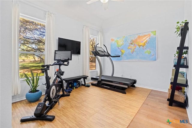 exercise room with ceiling fan and hardwood / wood-style floors