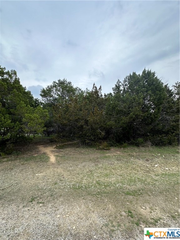 Listing photo 2 for 1692 Lakeview Dr, Canyon Lake TX 78133