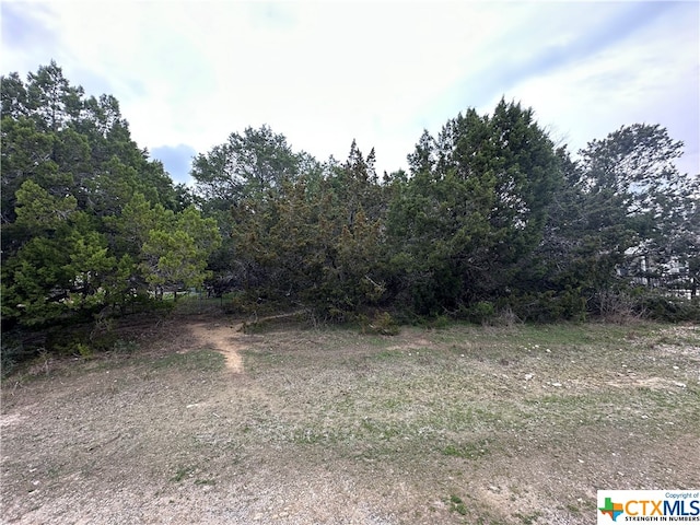 1692 Lakeview Dr, Canyon Lake TX, 78133 land for sale