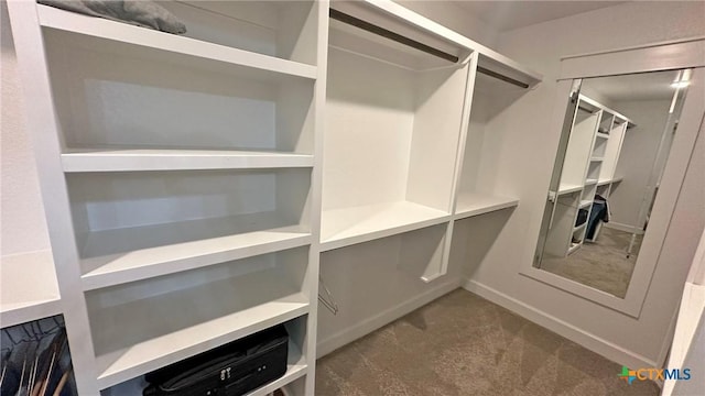 1026 County Road 3152, Kempner, TX 76539 - spacious closet featuring carpet flooring