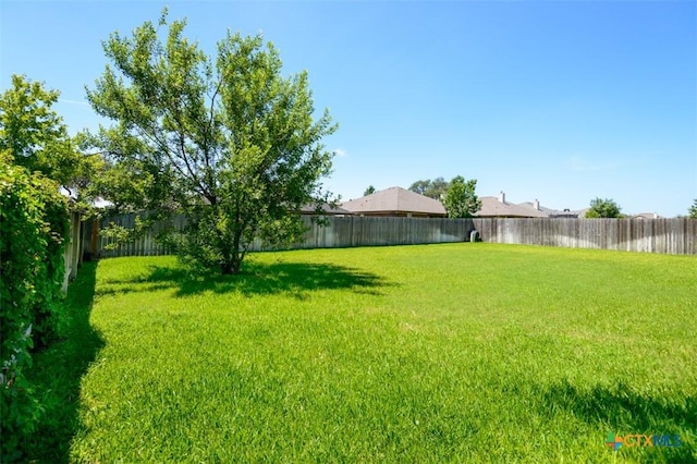 2034 Chinquapin Ln, Harker Heights, TX 76548 - photo 36