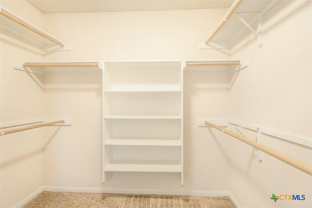 404 Chieftain Trl, Harker Heights, TX 76548 - spacious closet featuring carpet floors