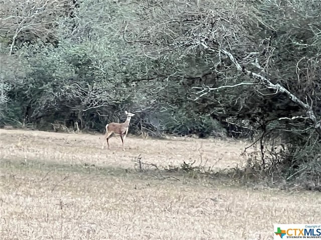 602 Fm 444, Inez, TX 77968
