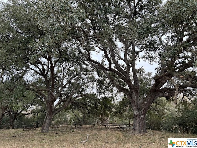 602 Fm 444, Inez, TX 77968