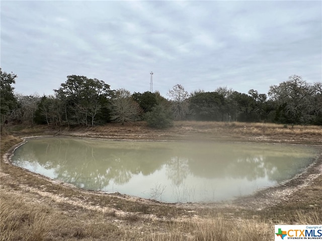 602 Fm 444, Inez TX, 77968 land for sale