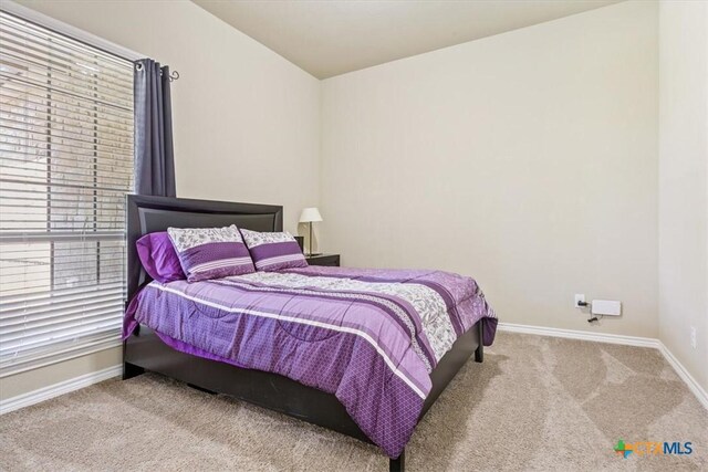 8101 Iron Gate Dr, Temple, TX 76502 - photo 21