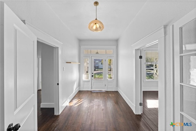 foyer entrance with a healthy amount of sunlight and dark hardwood / wood-style floors