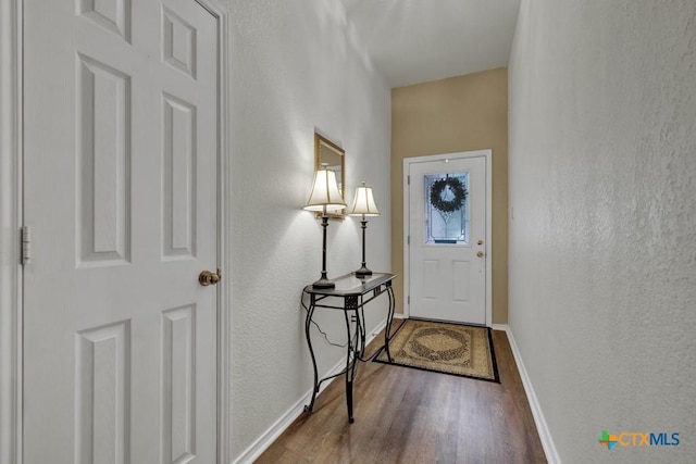 foyer featuring wood-type flooring