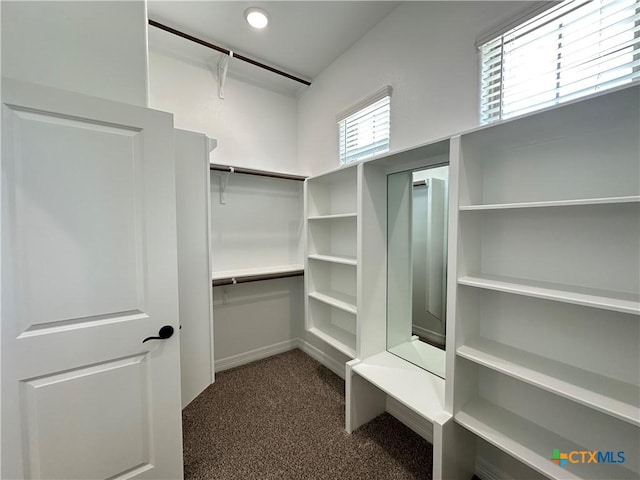4316 Sunflower Ln, Temple, TX 76502 - spacious closet featuring dark colored carpet