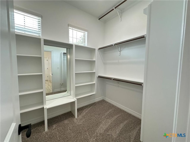 4316 Sunflower Ln, Temple, TX 76502 - spacious closet featuring dark carpet