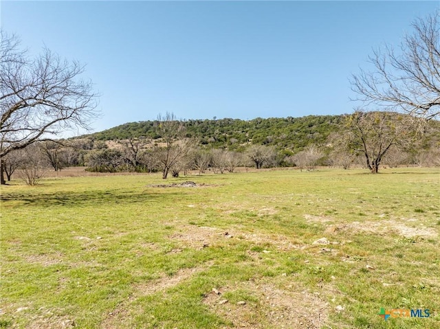 view of yard with a rural view and a mountain view