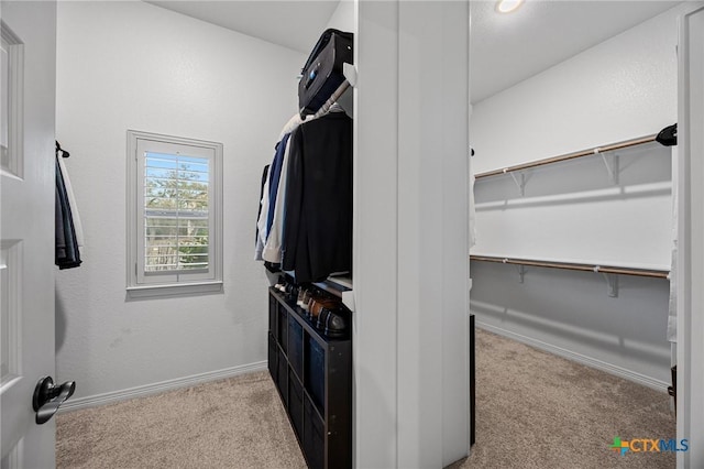 spacious closet featuring carpet flooring