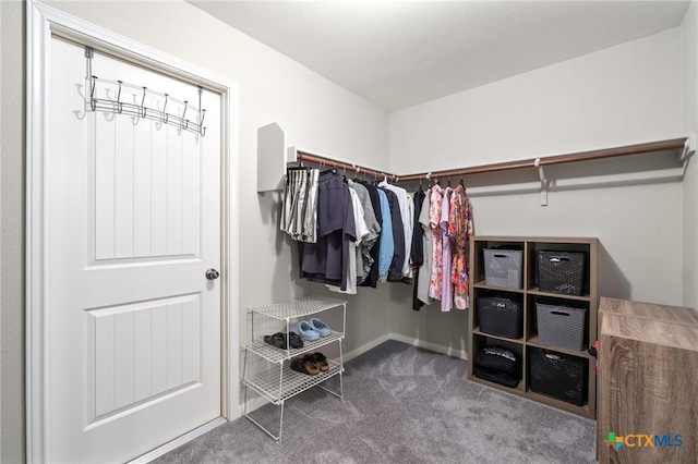 11602 Buster Crabbe Dr, Austin, TX 78748 - walk in closet featuring carpet floors