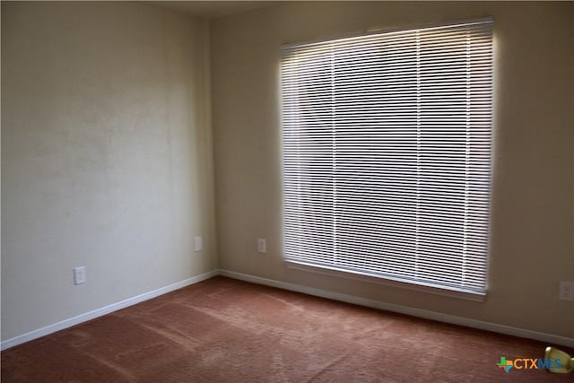 4207 Hitchrock Dr, Killeen, TX 76549 - spare room with carpet flooring, baseboards, and a wealth of natural light