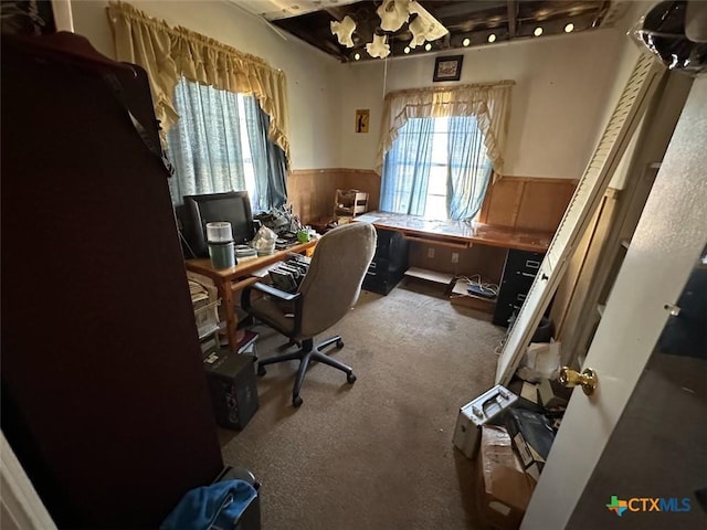 415 S 15th St, Port Oconnor, TX 77982 - office area with carpet floors, a wealth of natural light, and a wainscoted wall