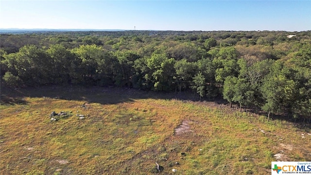 522 Tom Lea Dr, Spring Branch TX, 78070 land for sale