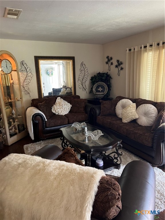 living room featuring a textured ceiling