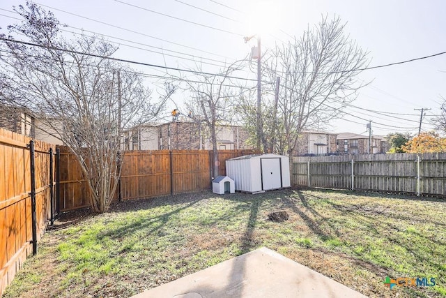 view of yard featuring a patio area and a storage shed