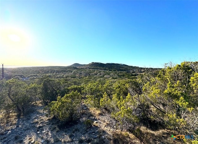 1220 Serenity, Fischer TX, 78623 land for sale