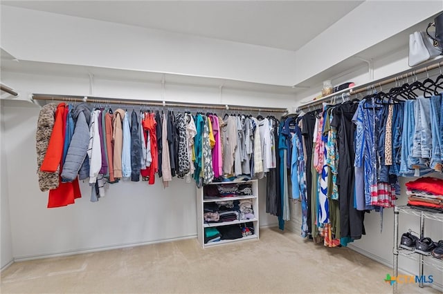 2474 Santa Barbara Loop, Round Rock, TX 78665 - spacious closet featuring carpet