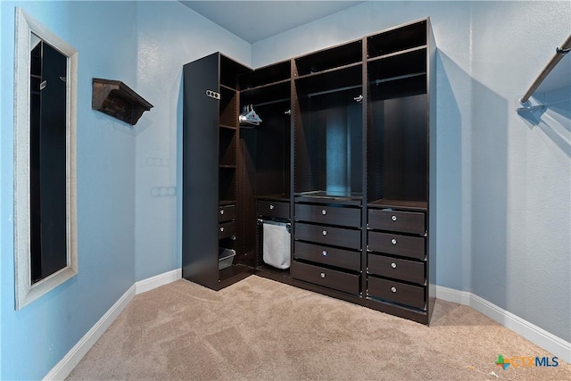 walk in closet featuring carpet flooring