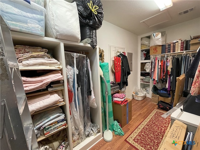 spacious closet featuring wood-type flooring